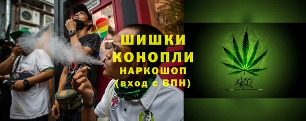 сатива Гусиноозёрск