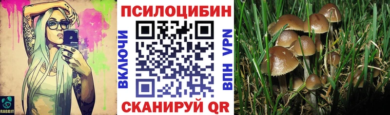 сколько стоит  Назарово  ссылка на мегу онион  Галлюциногенные грибы Psilocybe 